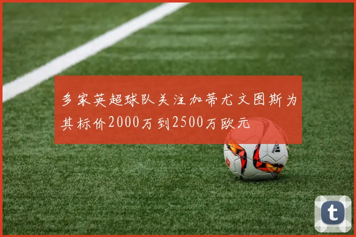 多家英超球队关注加蒂尤文图斯为其标价2000万到2500万欧元