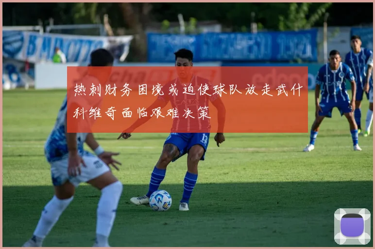 热刺财务困境或迫使球队放走武什科维奇面临艰难决策